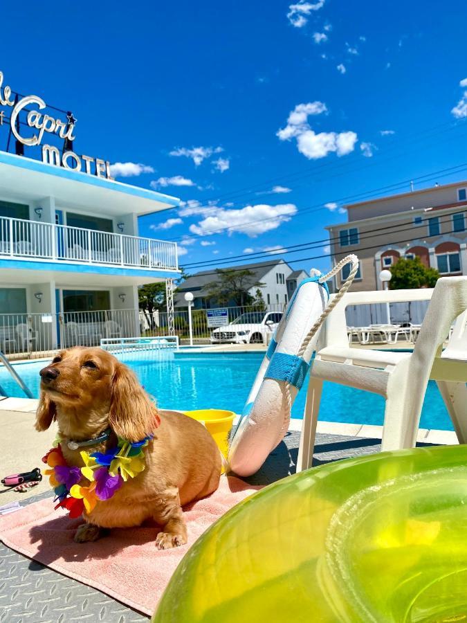 Isle Of Capri Motel North Wildwood Buitenkant foto